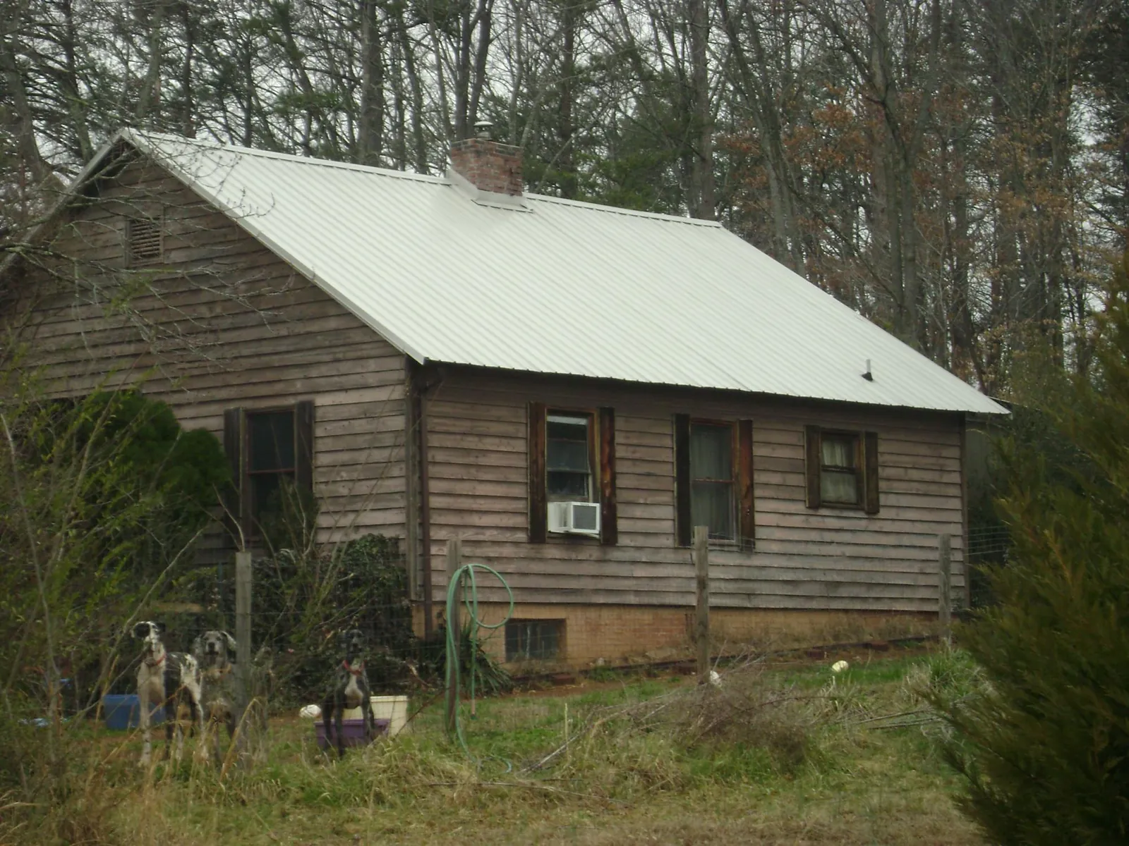 White metal roof on an old wood sided farmhouse, from a Asphalt Shingle Roof Repair job in New Millport